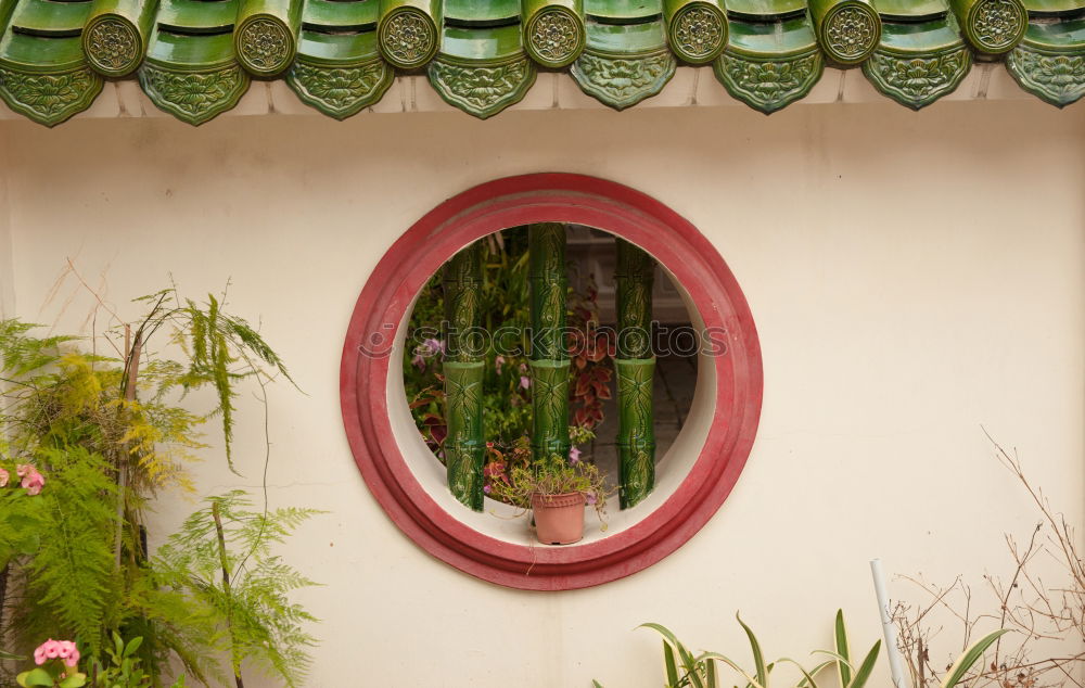 Similar – pink Fenster Haus