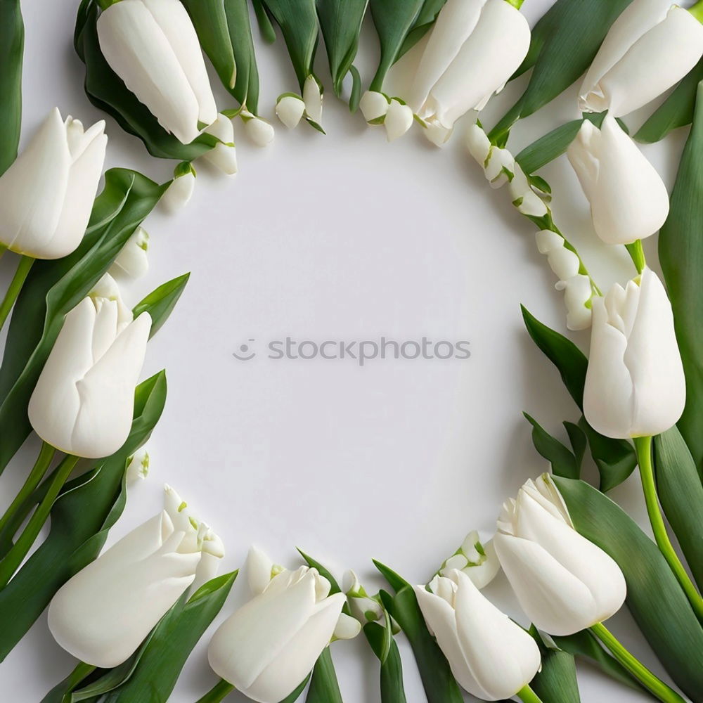 Similar – Image, Stock Photo Spring wreath with tulips