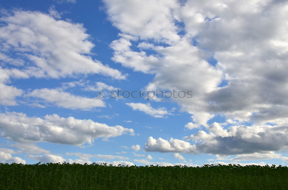 Similar – bett im kornfeld Feld