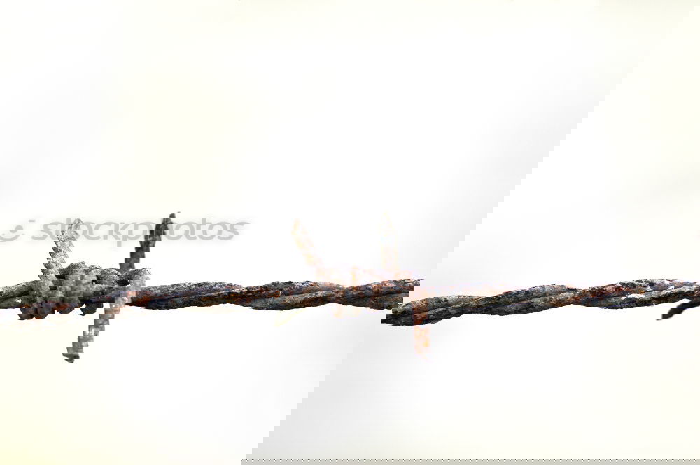 Similar – Image, Stock Photo barbed wire Barbed wire