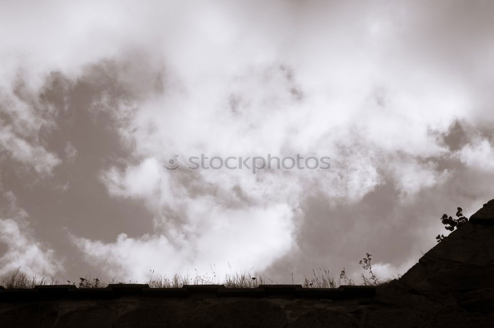 Image, Stock Photo The Photographer Roof Gray