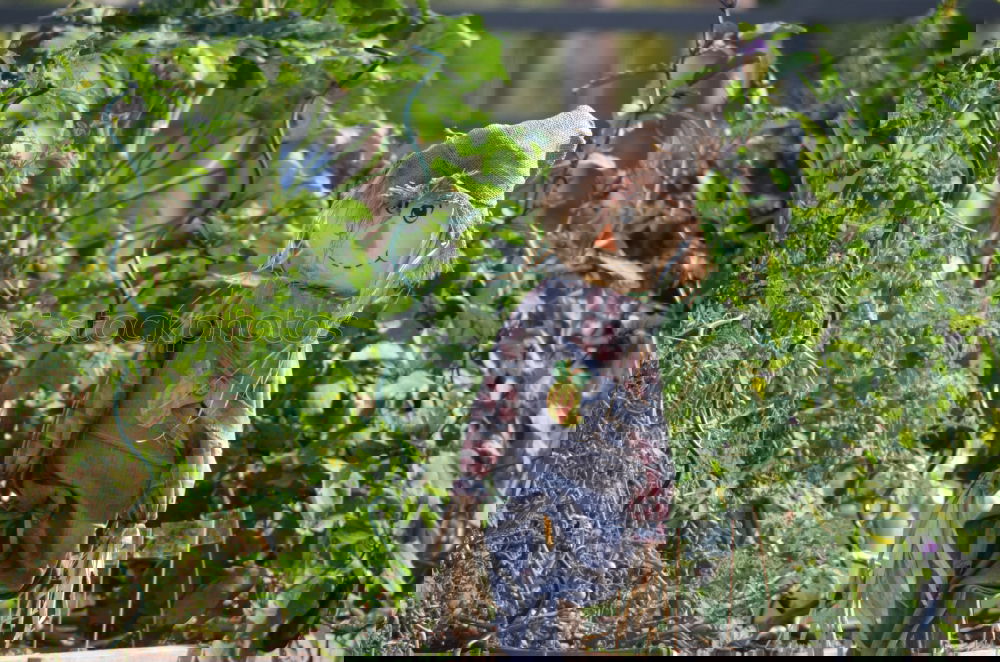 Similar – Foto Bild the storm Garten Frau