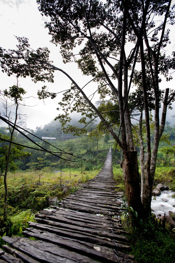 pedestrian bridge