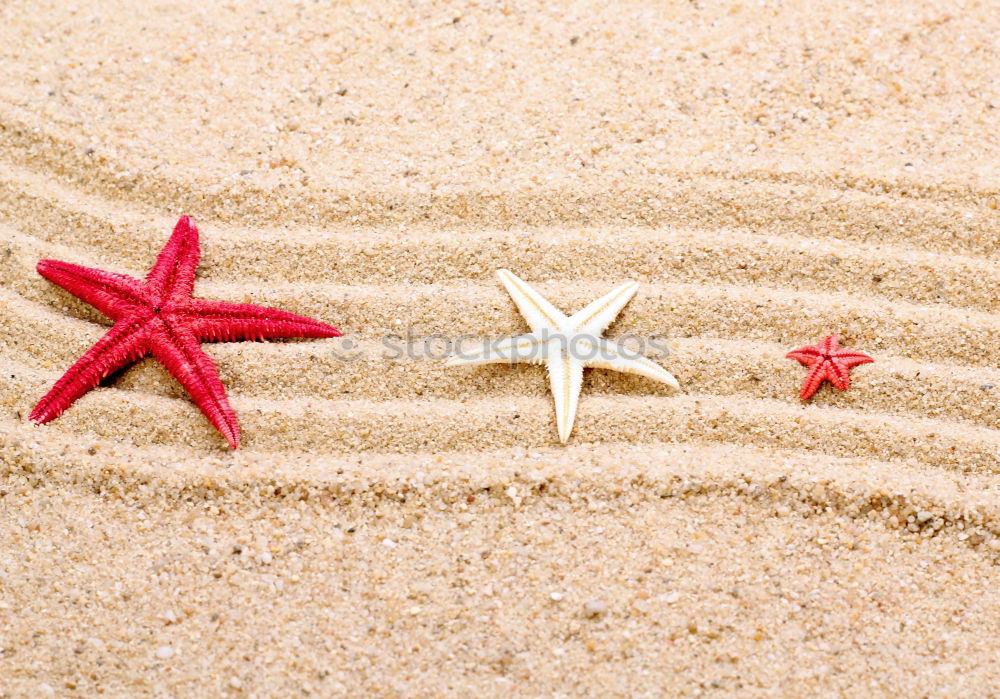 Similar – Image, Stock Photo Towel, floats, water gun and sunscreen on the beach