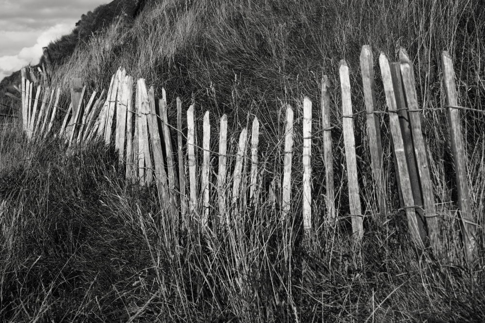 Image, Stock Photo late summer Environment