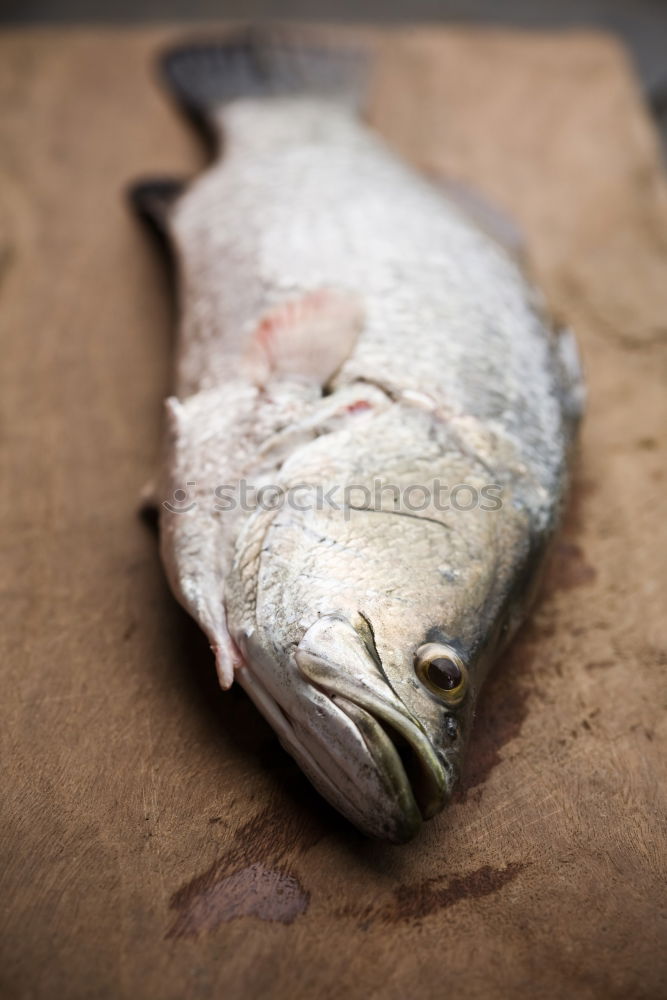 Similar – fresh whole sea bass fish