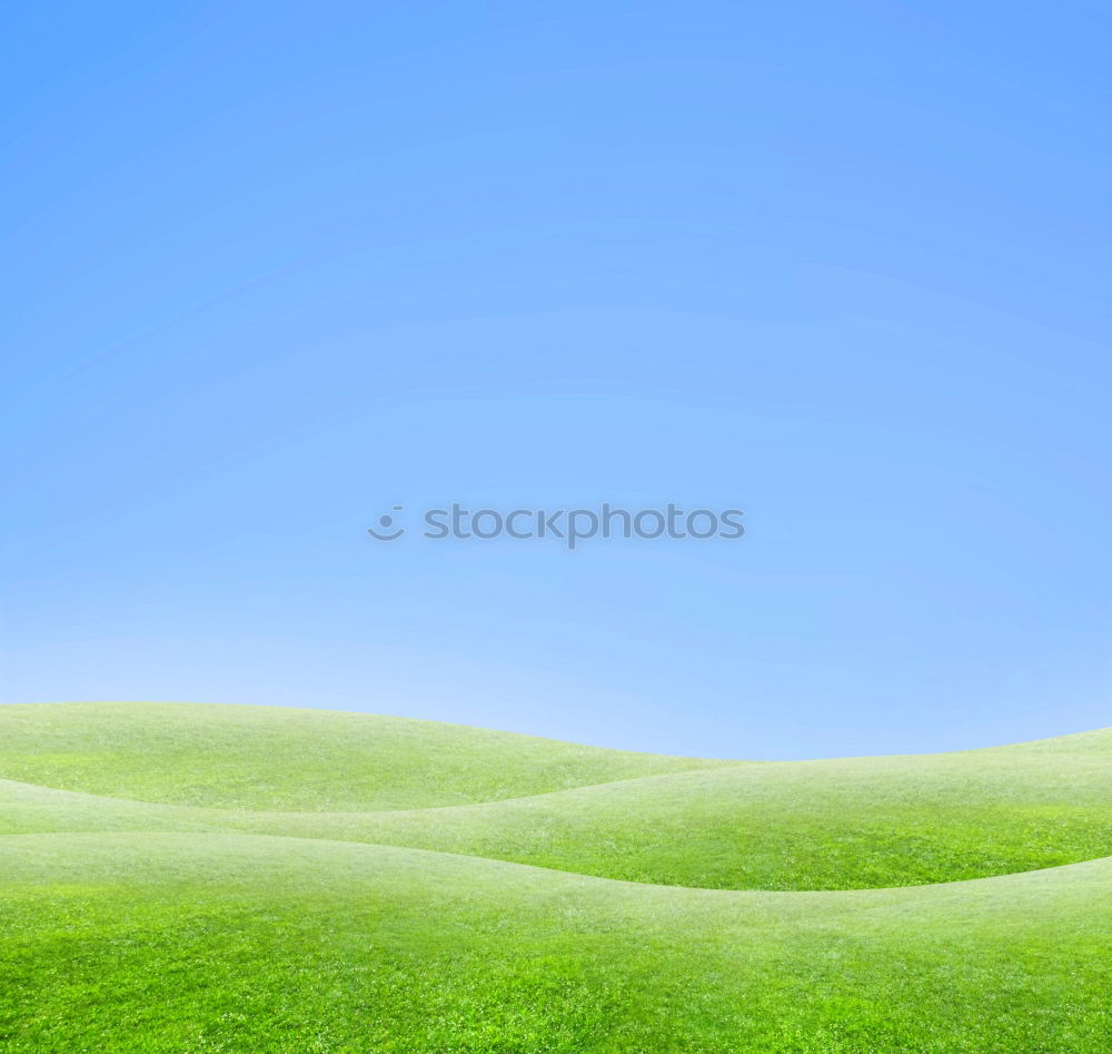 large green meadow_03