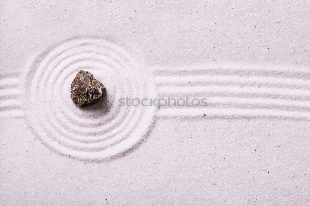 Similar – Image, Stock Photo white feather and weight