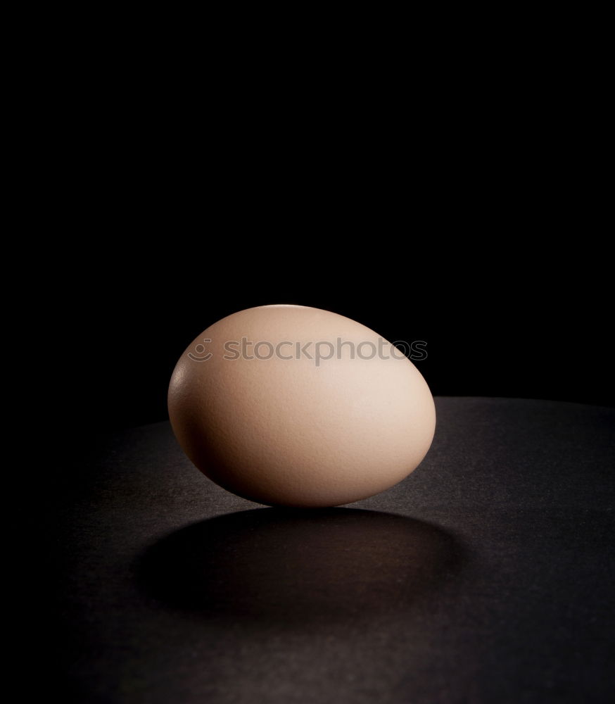 Similar – Image, Stock Photo Organic egg in straw Food