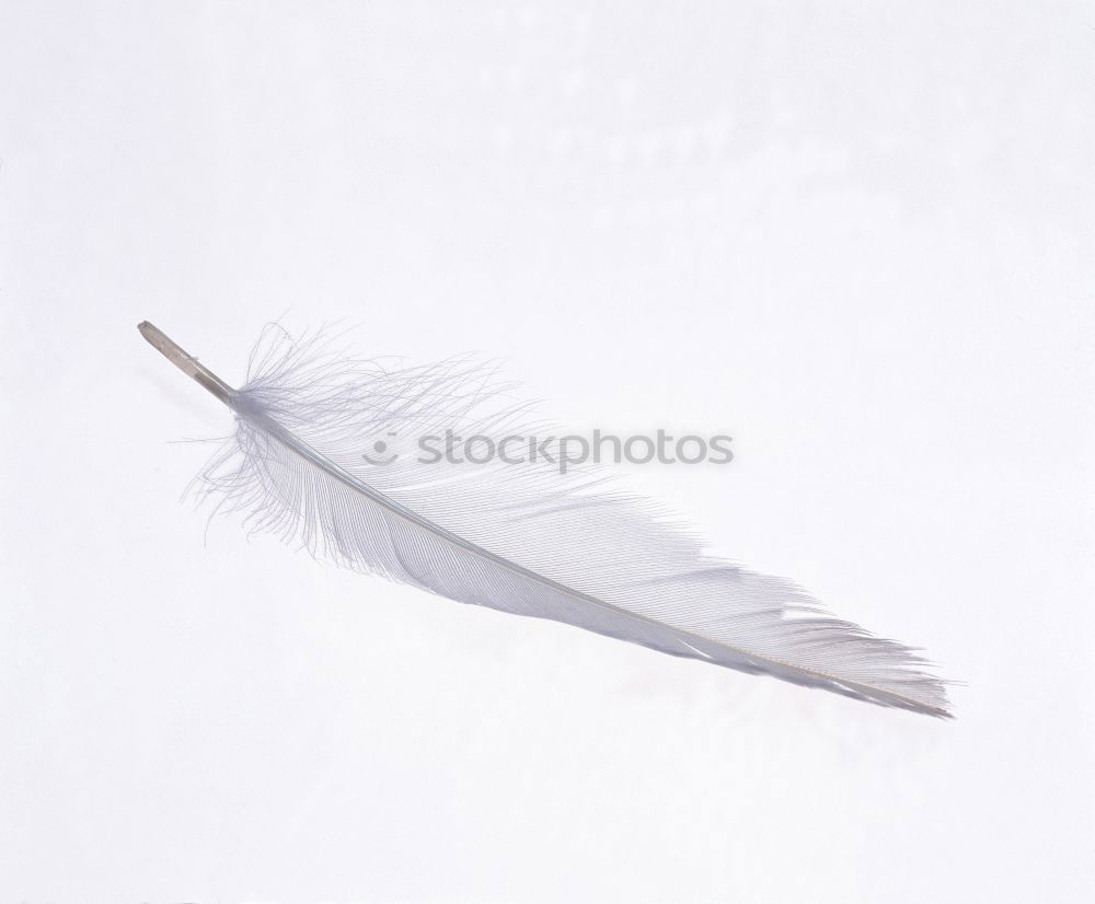 Similar – Image, Stock Photo United Fantasy Work of art