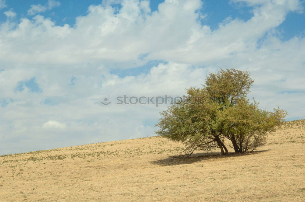 Similar – Image, Stock Photo Slag heap of the mining industry in the Mansfeld mining district at the end of a tree-lined country road