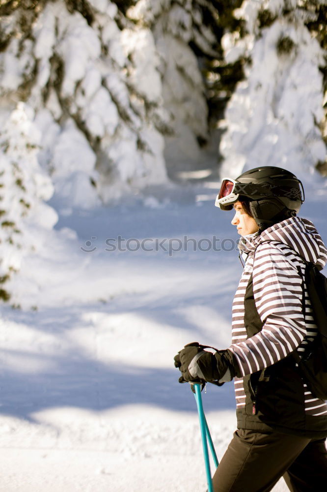 Similar – trailblazer Dog Sleigh