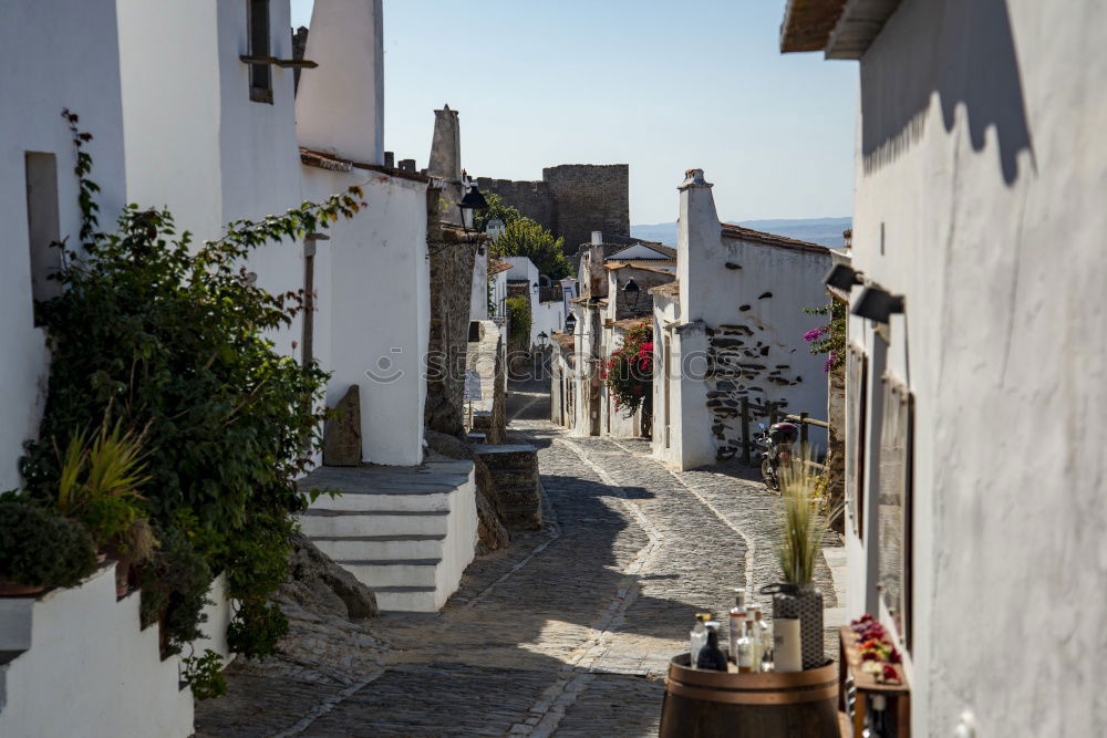 Similar – Image, Stock Photo Medieval village Monsaraz in the Alentejo Portugal