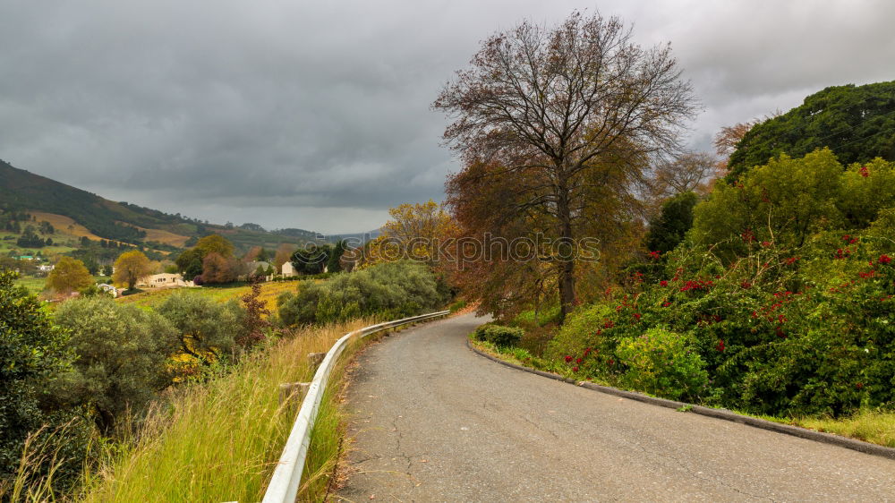 Similar – Foto Bild Weg ins Ungewisse Baum