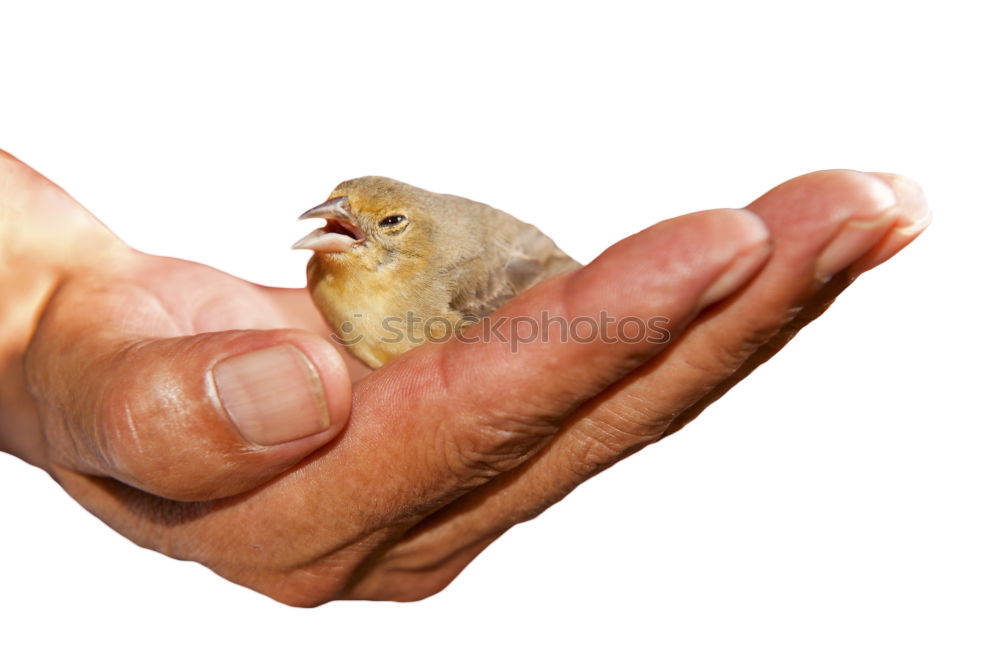 Similar – geben und nehmen Hand