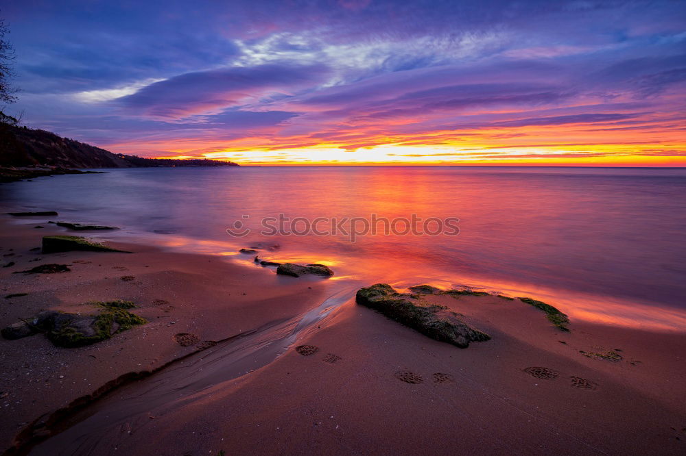 Similar – Image, Stock Photo Sunrise in Sydney