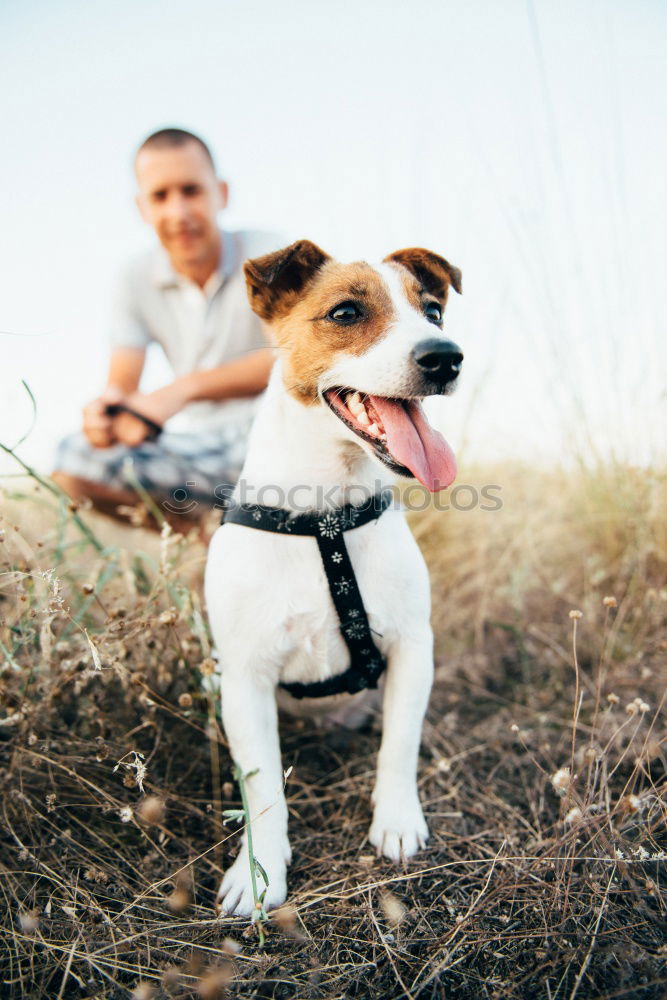 Similar – Cute puppy an his owner at the beach