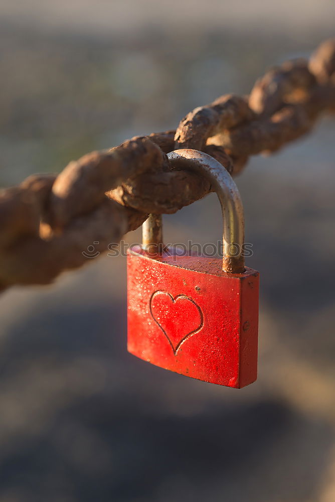 Similar – Image, Stock Photo rotesschlossmitherzang lattice wall