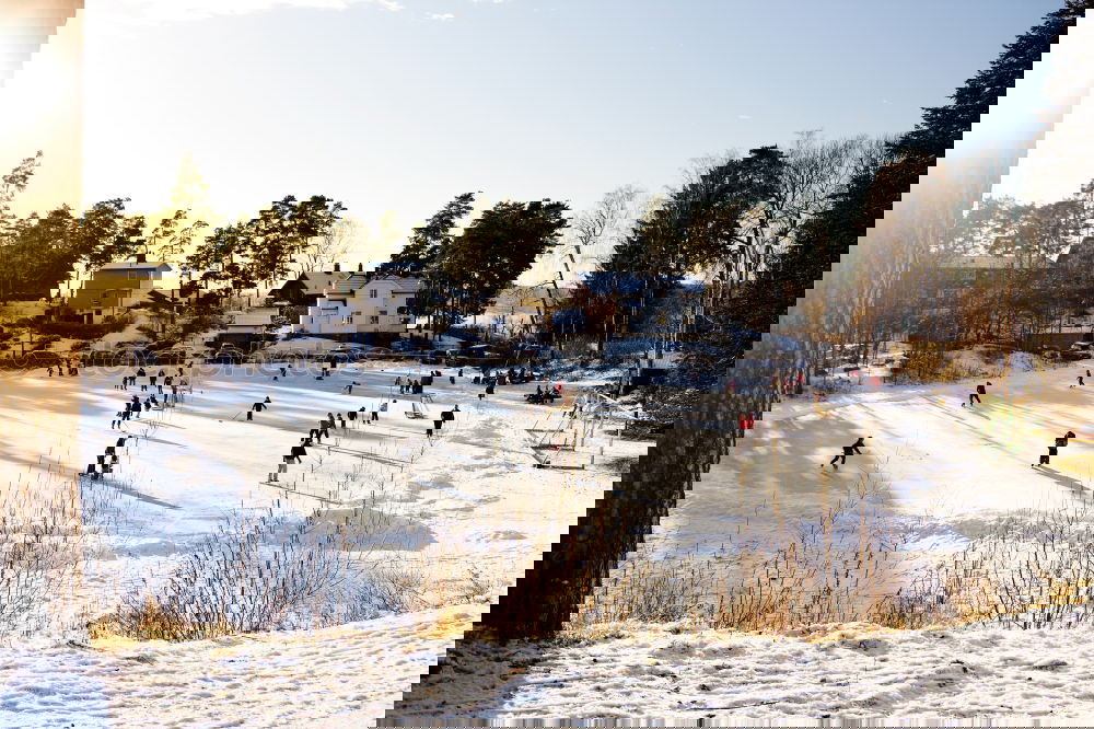 Similar – Image, Stock Photo winter walk Winter Snow