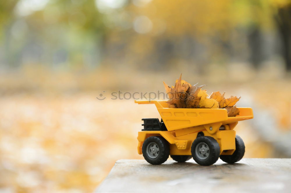 Similar – Image, Stock Photo Wheelbarrow with leaves in autumn