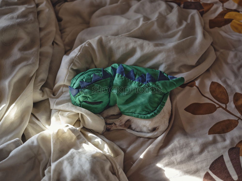 Similar – Foto Bild Paarungszeit Bekleidung