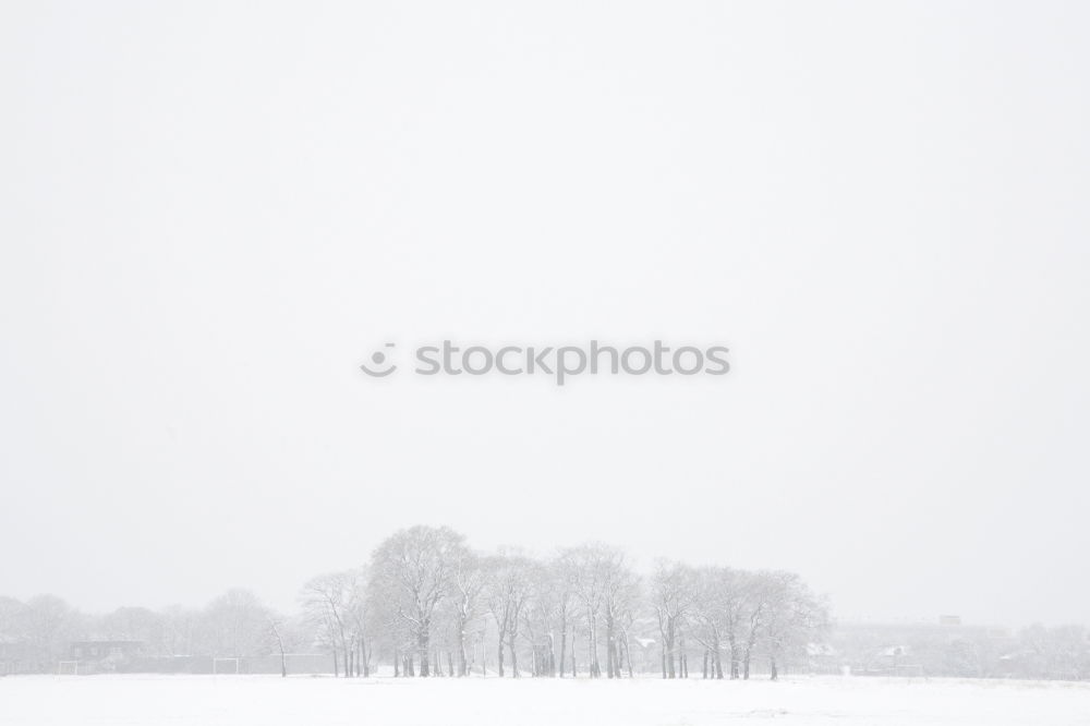 Similar – Image, Stock Photo Winter in the country