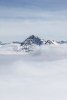Similar – Image, Stock Photo the winter goes Spring