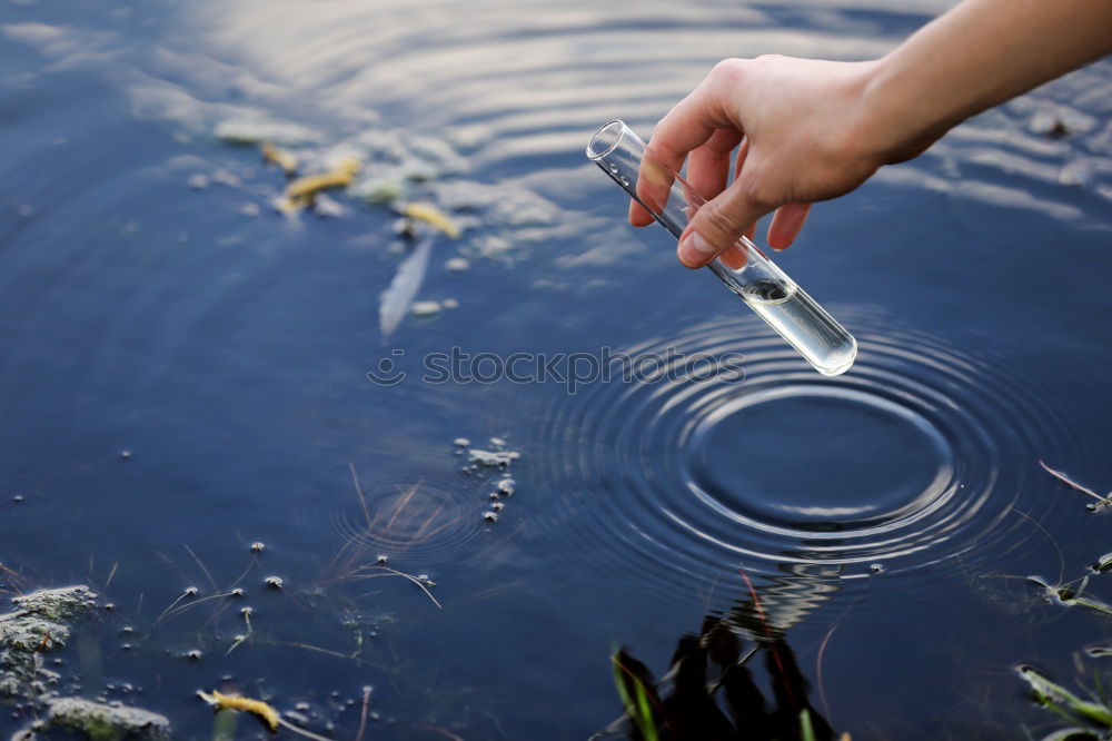 Image, Stock Photo Gentle touch Human being