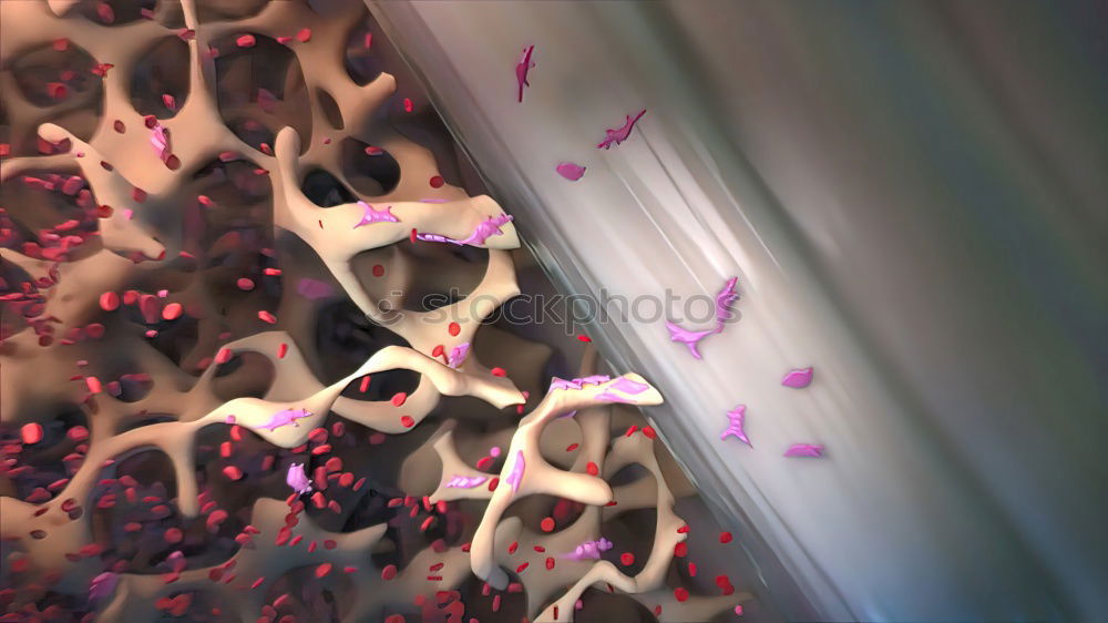Similar – Image, Stock Photo docked Nature Plant Autumn