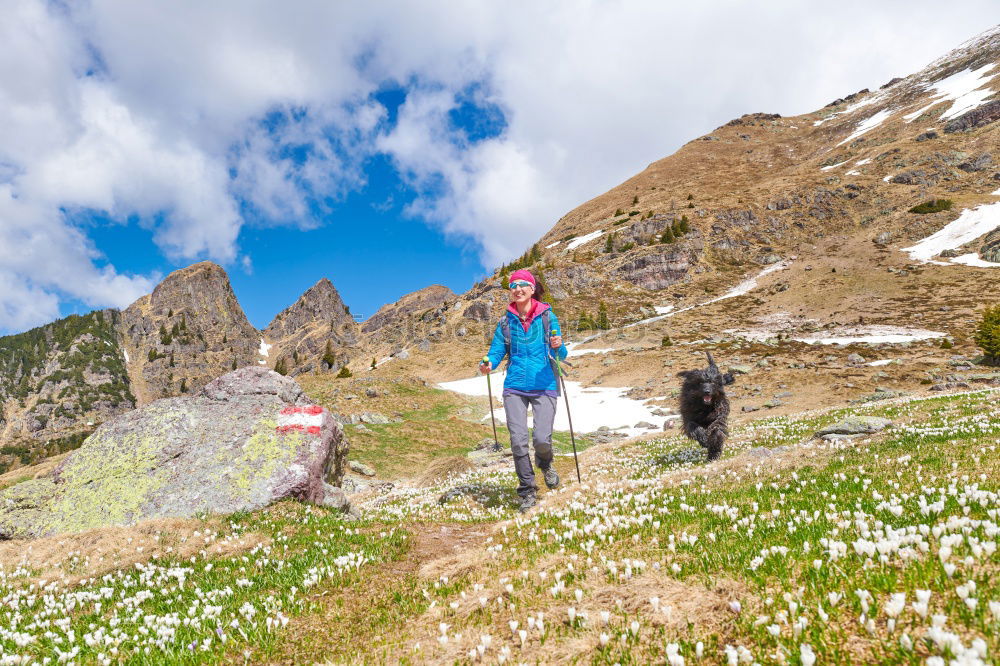 Similar – Image, Stock Photo small! Mountain Hiking