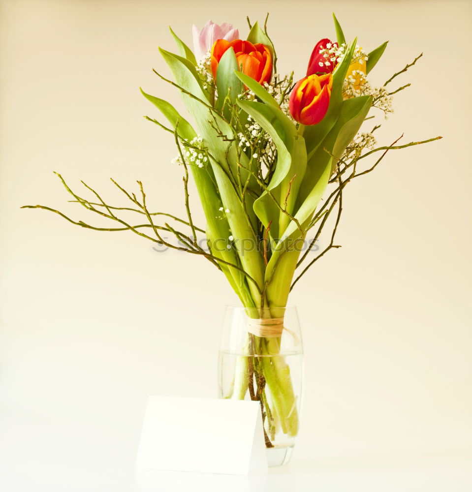 Similar – Image, Stock Photo Mother’s Day Beautiful