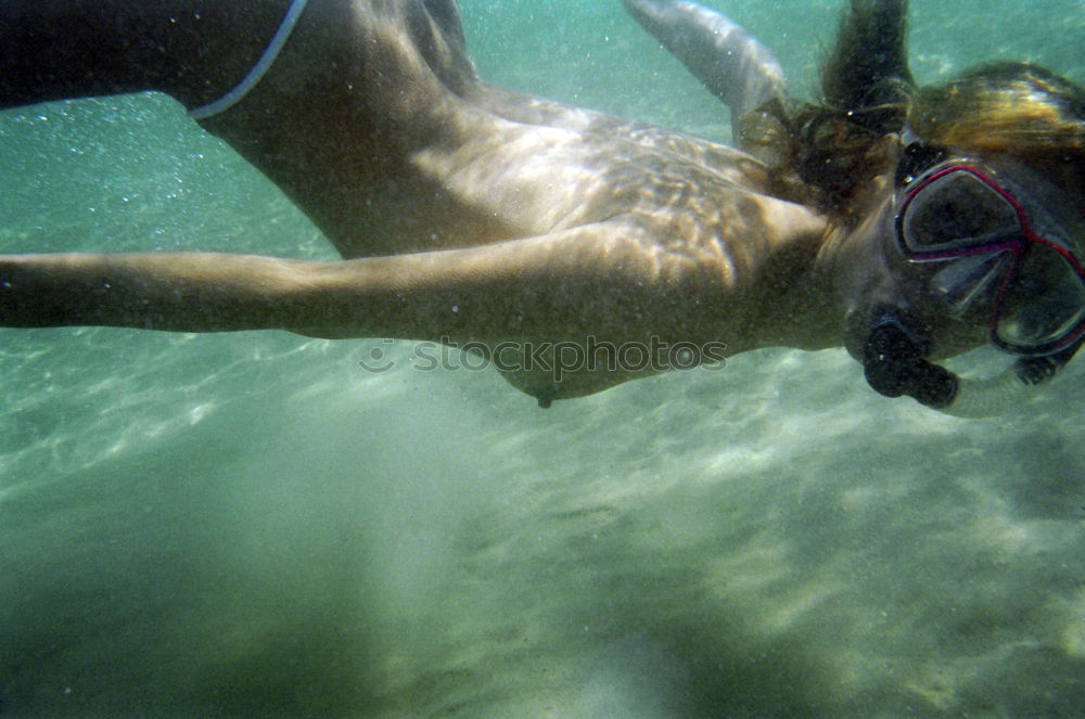 Similar – Image, Stock Photo Blubb Blubb² Dive