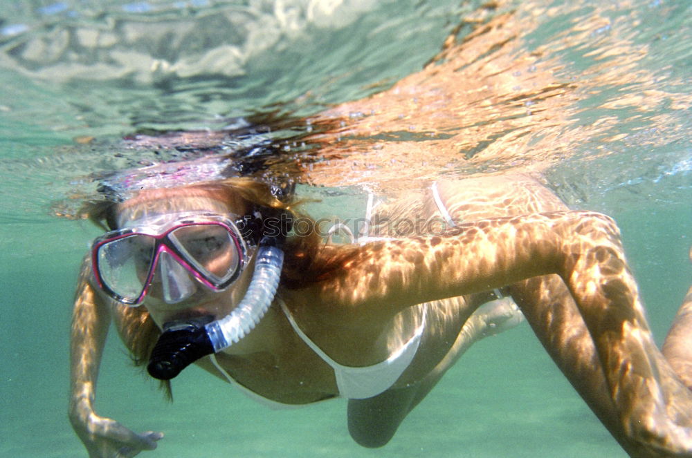 Image, Stock Photo Blubb Blubb² Dive