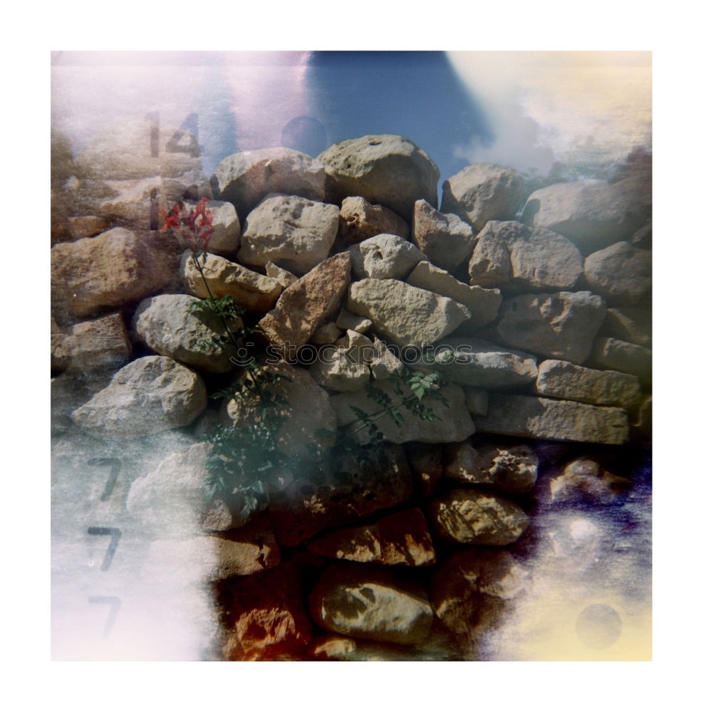 Similar – Foto Bild Wash Away Umwelt Natur