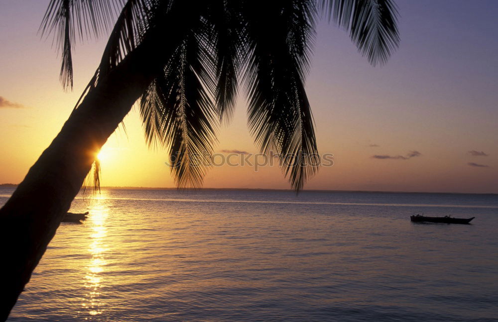 Similar – Image, Stock Photo Only the sound of the sea…