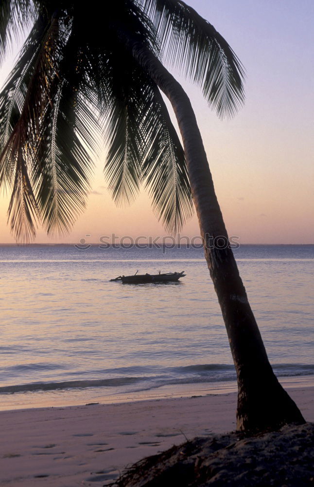 Similar – Image, Stock Photo Only the sound of the sea…