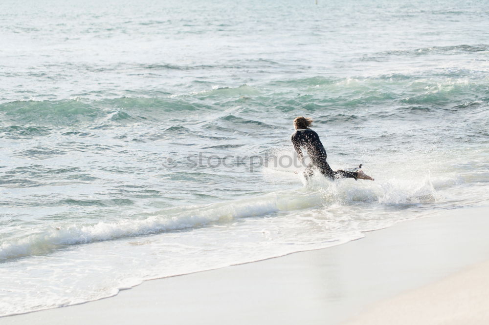 Similar – Foto Bild Lonely… Vogel weiß Tier