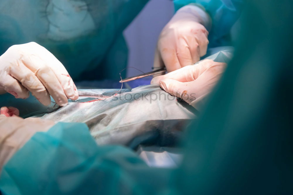 Similar – Image, Stock Photo Team of Surgeons Operating.