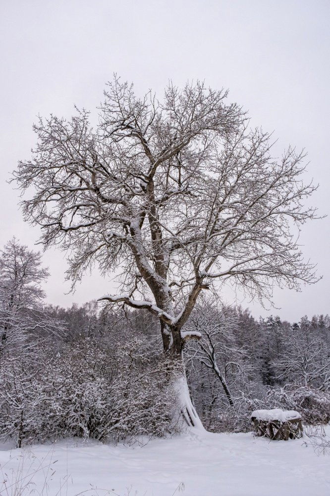 Similar – Image, Stock Photo Rest after the storm…