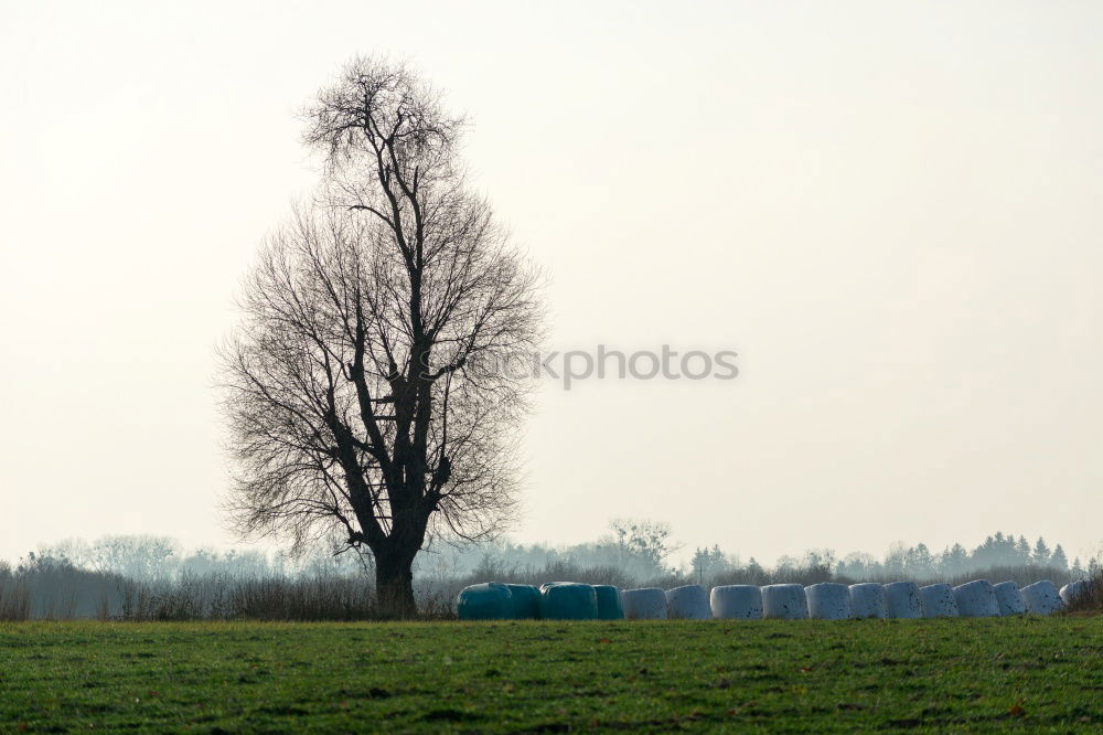 Similar – Image, Stock Photo Basin Agdal Pond Meknes