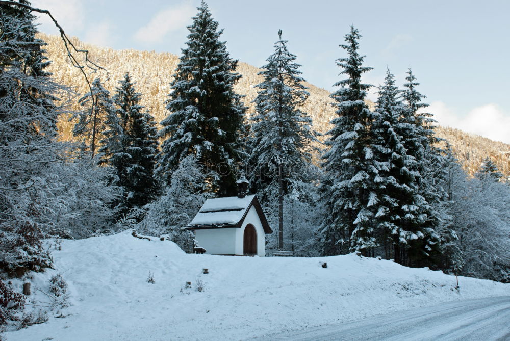 Similar – Image, Stock Photo real winter Loneliness