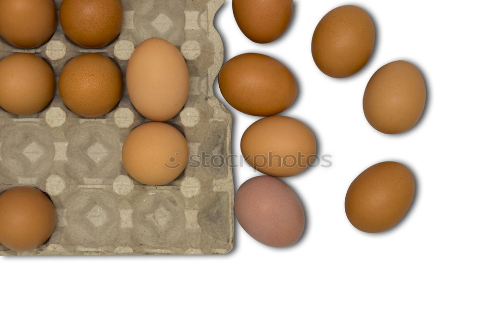 Similar – Image, Stock Photo Egg Egg Egg Egg Egg Egg Egg Egg Egg Egg Egg Egg Egg Egg Egg