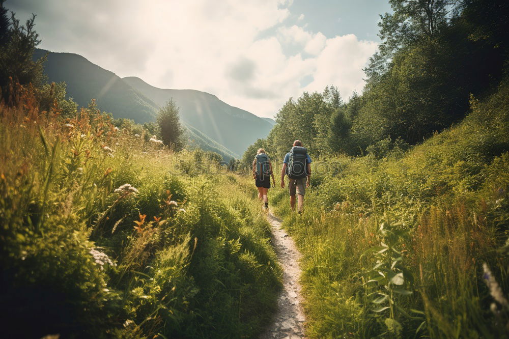 Similar – Image, Stock Photo Women walking on rural road