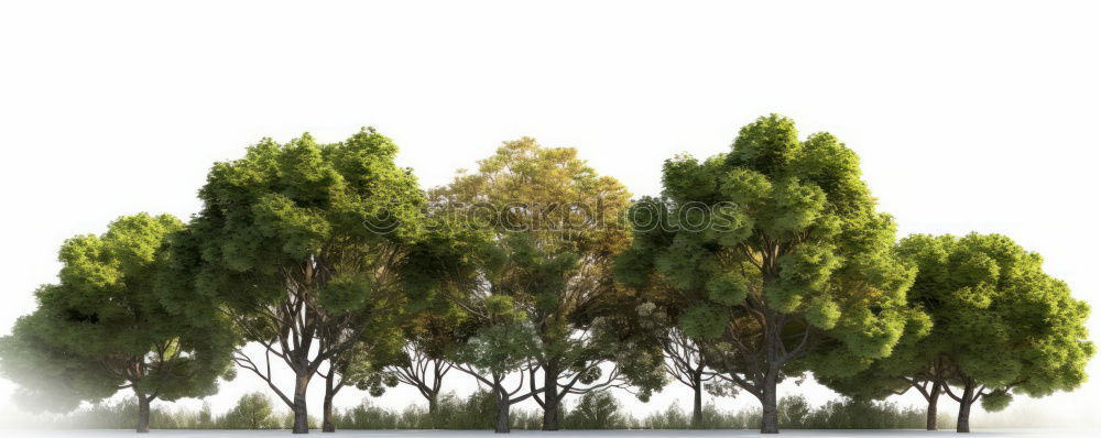 Similar – Image, Stock Photo Autumn colours in the forest