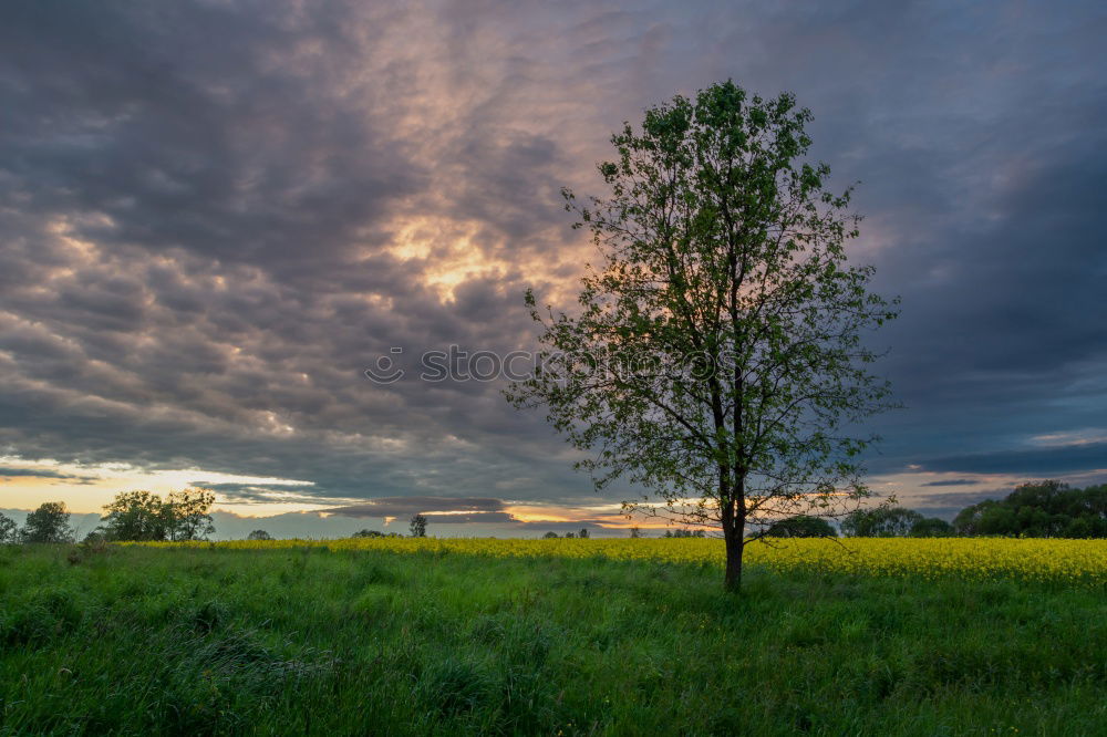 Similar – Warm twilight landscape on a beautifull cloudy sky