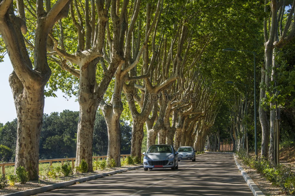 Similar – Image, Stock Photo Tiergarten with government quarter