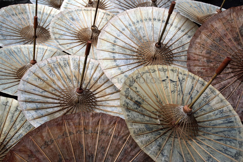 Similar – Image, Stock Photo Sweet potato chips 2.0