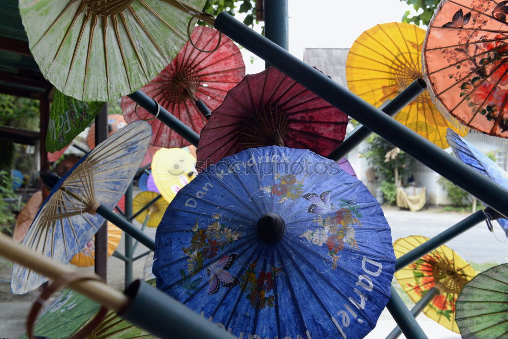 Similar – Flowered retro parasol