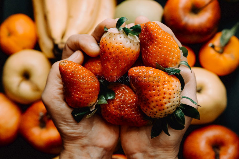 Similar – Image, Stock Photo Beautiful woman choosing apples in supermarket.