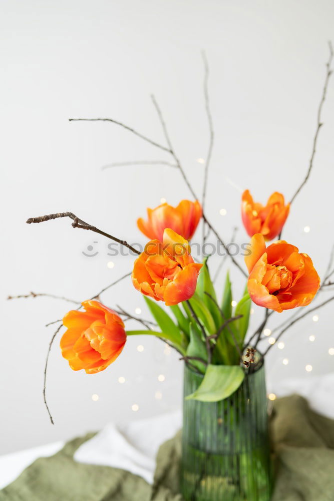 Similar – Image, Stock Photo poppy Decoration Summer